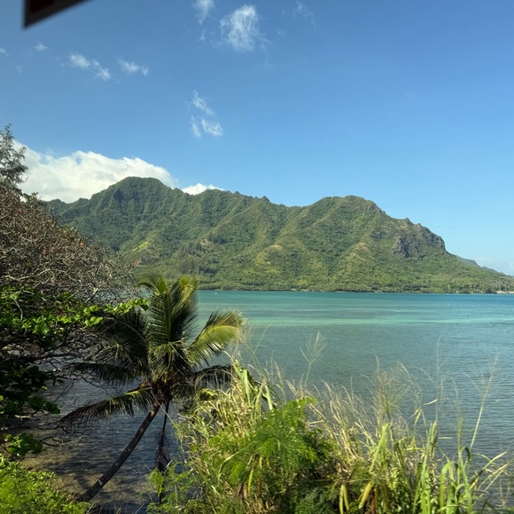 COME JOIN US FOR SWAGFEST 2025 - Picture 9 of 17